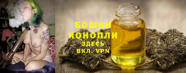 индика Белоозёрский